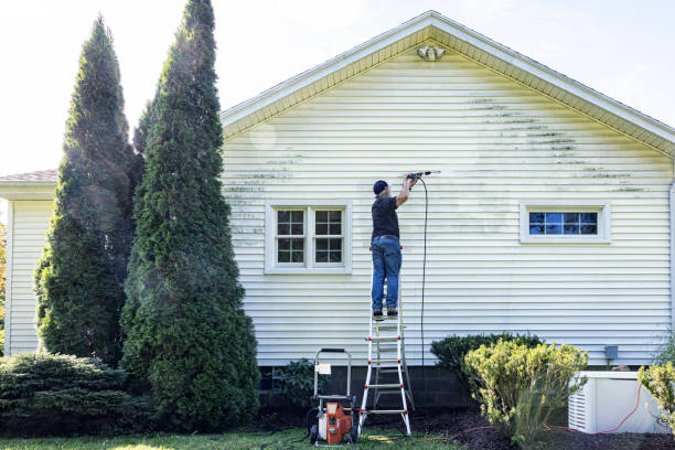Best Residential Exterior Washing  in Tickfaw, LA